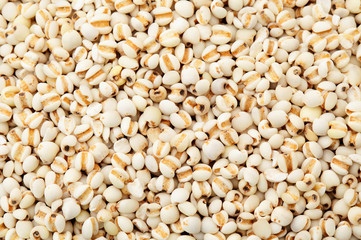 Coixseed background
