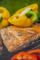 Fire and grilling theme with grilled food