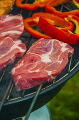 Grilling composition in green garden