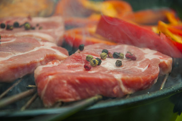 Hot grilled meat and vegetables on green background
