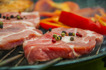 Hot grilled meat and vegetables on green background