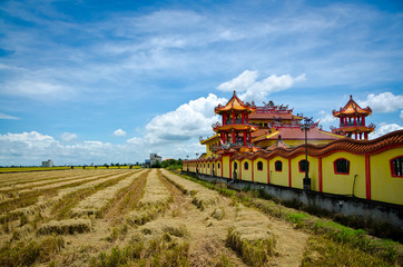 Temple beside harvested paddy field, Sekinchan, Malaysia