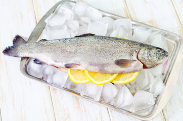 raw trout