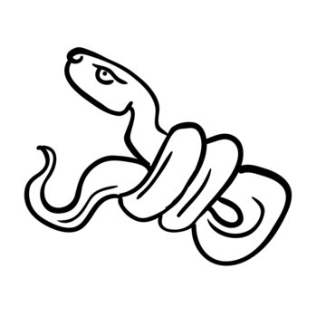Snake vector illustration