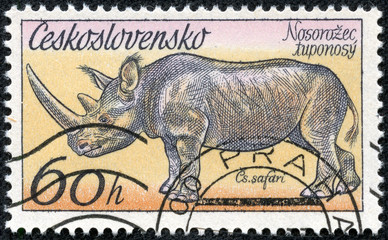 Stamp shows the image of the Rhinoceros