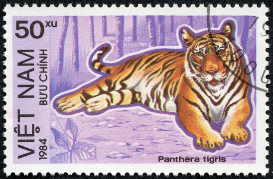 stamp printed in Vietnam shows Panthera tigris or tiger
