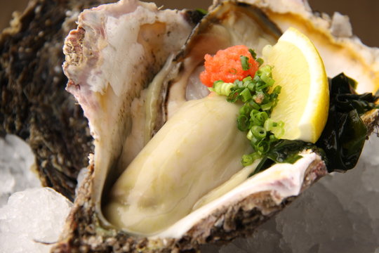 生牡蠣