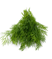 fresh dill