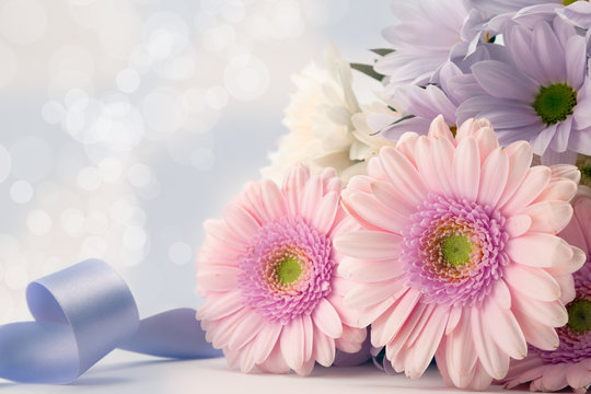 Pink gerbera daisies with blue ribbon.