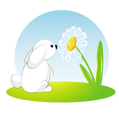 Bunny sniffing a daisy. Cartoon illustration. Vector 10 EPS.