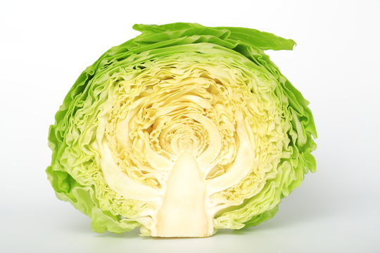キャベツ