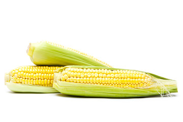 Corn isolated on white