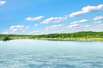 Picturesque forest and the river