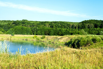 Picturesque forest and the river