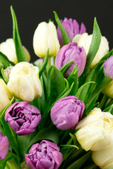 Fototapeta Bukiet tulipanów obraz
