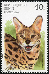 stamp printed in Benin shows Leptailurus serval or serval