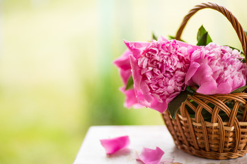 peonies