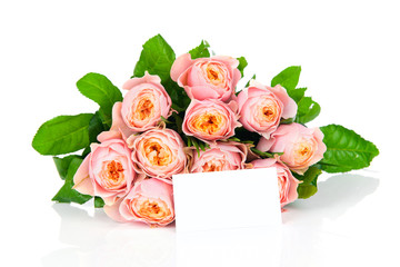 Roses and a greeting card isolated on white