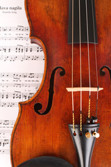 Violine / Geige