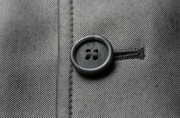 Close-up photograph of a black button on gray material.