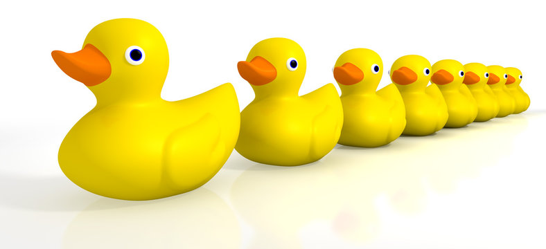 Your Toy Rubber Ducks In A Row