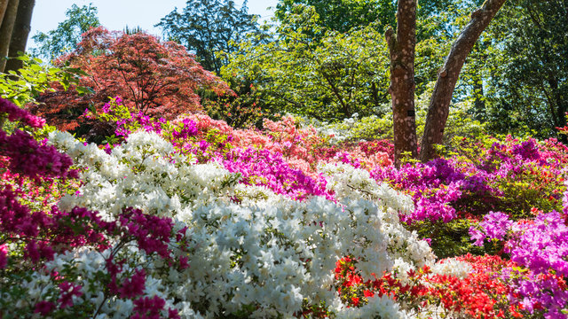 Wall Of Colour