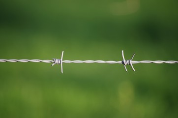 deux pointes de barbelés