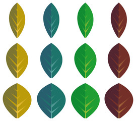 Set of color leaves