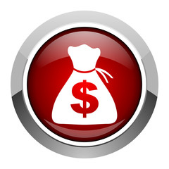 money icon
