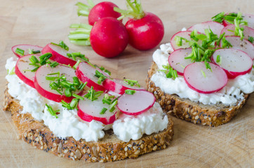 Whole bread with cottage cheese and radish