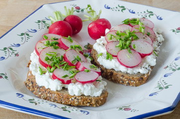 Whole bread with cottage cheese and radish