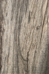 Old weathered grey wooden board as background