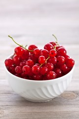 Rote Johannisbeere
