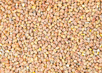 Fenugreek seeds spice background, closeup.