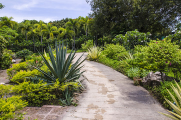 Obraz premium path way in the topical garden