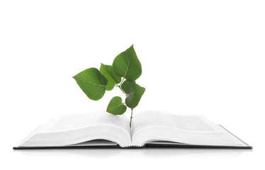 Book with plant isolated on white