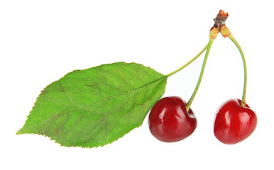 Cherry berries isolated on white