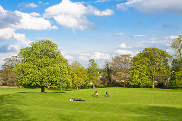 Big field with trees in the background