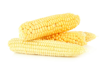 Fresh corn, isolated on white