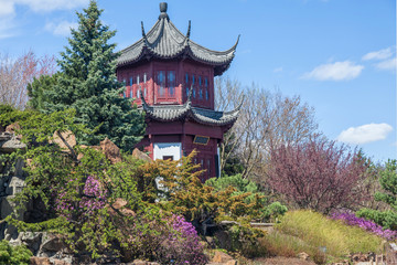 Fototapeta premium Chinese Garden
