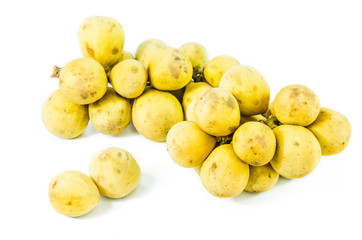 Wollongong isolated  , Lansium domesticum Corrêa