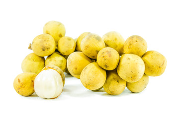 Wollongong isolated  , Lansium domesticum Corrêa