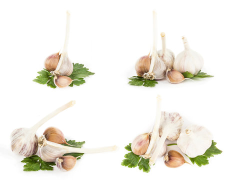 Set of garlic