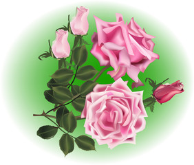 pink rose bouquet on green