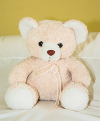 pink teddy bear toy