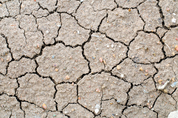 Closeup of dry soil.