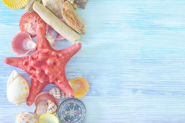 sea shells and compass