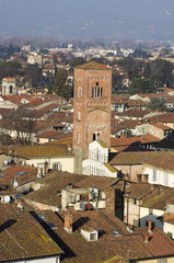 lucca