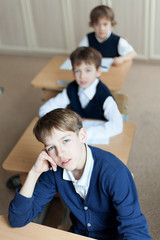 Diligent student sitting at desk, classroom
