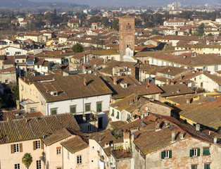 Naklejka premium lucca